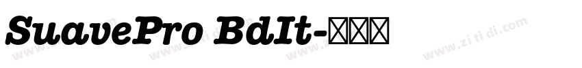 SuavePro BdIt字体转换